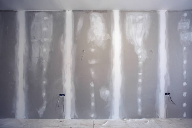 Best Mold Remediation for Rental Properties  in USA